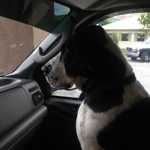 Meet your Posher, Rick